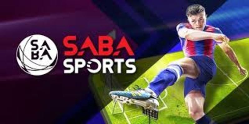 Giới thiệu về Sapa Sports Kubet11