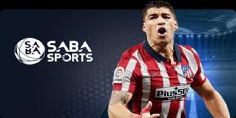 Khám Phá Các Loại Kèo Cược Tại Sapa Sports Kubet11