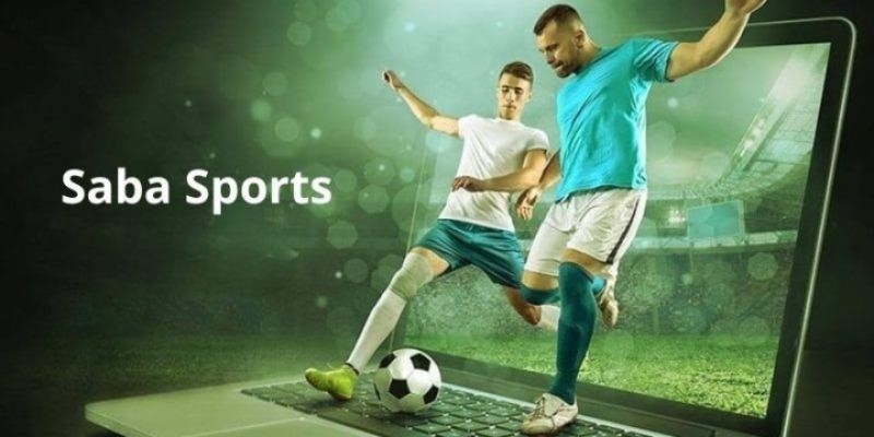 Mẹo cược Sapa Sport thắng lớn tại Kubet11 dành cho tân thủ